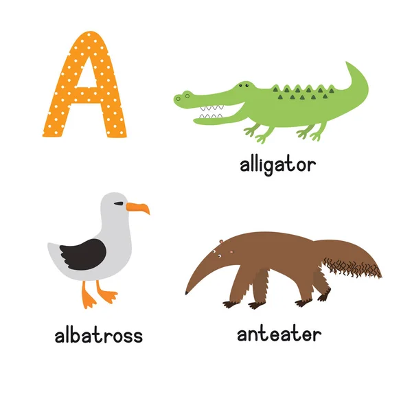 Lindo alfabeto zoológico en vector. Una carta. Divertidos animales de dibujos animados: Albatros, caimán, oso hormiguero — Vector de stock