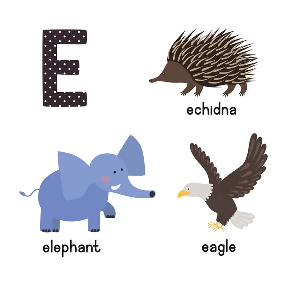 Set di icone per bambini divertenti ABC lettera E: aquila, echidna, elefante . — Vettoriale Stock