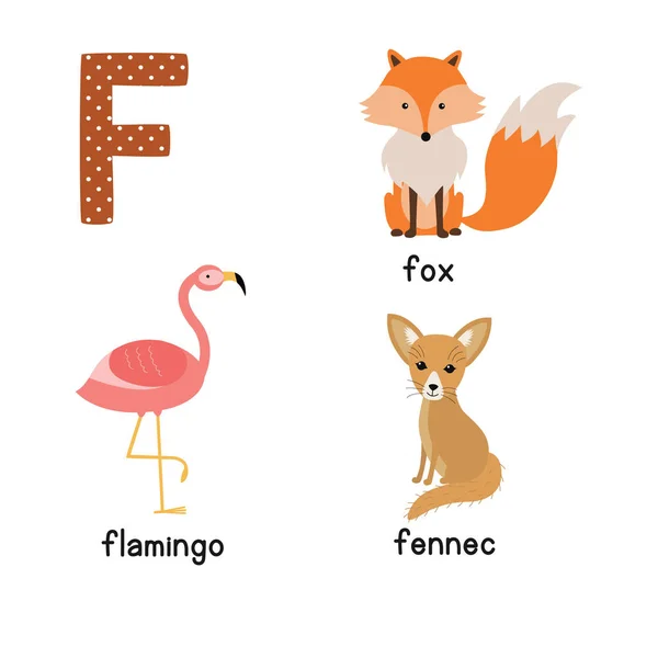 편지 F. 귀여운 동물입니다. 플라밍고 Fennec 여우입니다. 재미 있는 만화 동물 벡터에서. Abc도 서. — 스톡 벡터