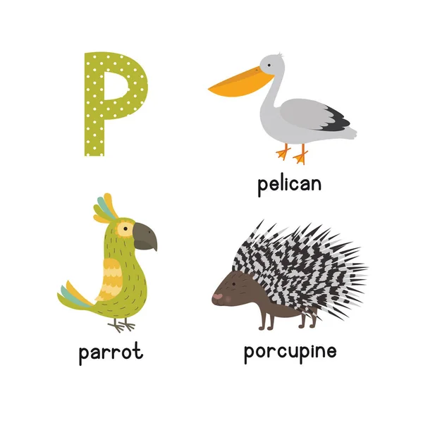 Şirin çocuk Hayvanat Bahçesi alfabe P harfi izlemeyi komik hayvan çizgi film çocuklar için. papağan kirpi Pelikan — Stok Vektör