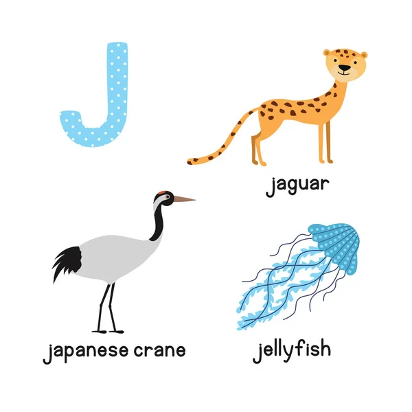 Alfabet Zoo zwierzę ładny. Litera J dla Jaguar, meduzy, japoński Żuraw . — Wektor stockowy