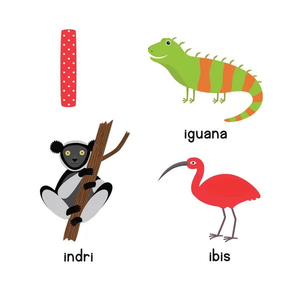 Roztomilý zvířat Zoo abeceda. Písmeno I pro leguána, ibis, Luděk — Stockový vektor