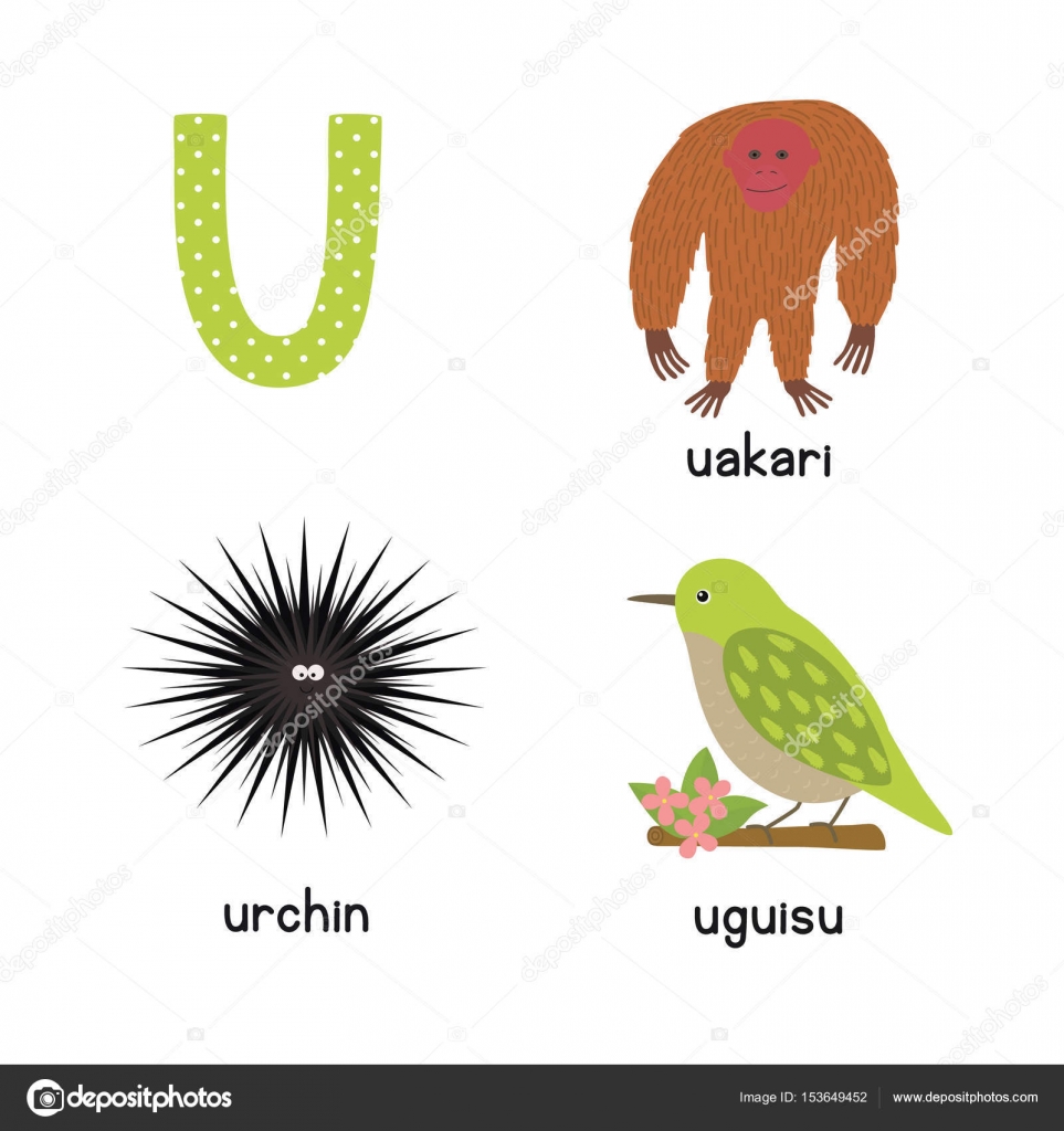 Lindo alfabeto zoológico en vector. Carta U. Divertidos animales de ...