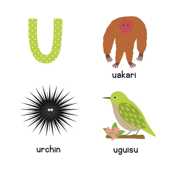 Aranyos állatkerti ábécé vektor. U levél. Vicces karikatúra állatok: sün, uakari, uguisu — Stock Vector