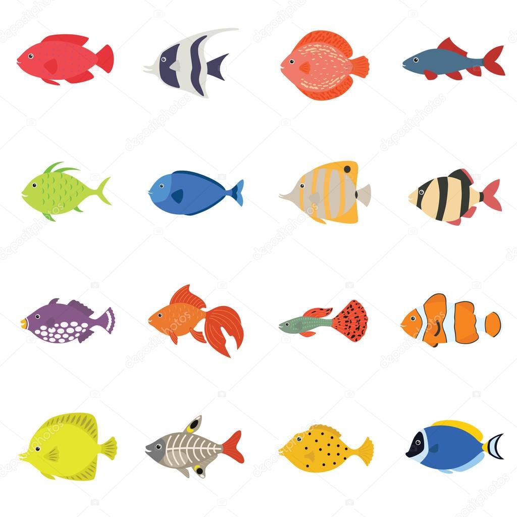 Cute fish vector illustration icons set. Tropical fish, sea fish, aquarium fish set isolated on white background.