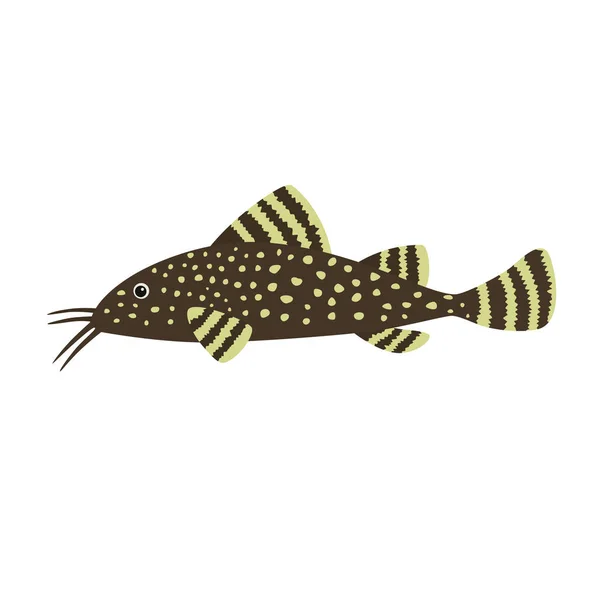 Catfish pada latar belakang putih - Stok Vektor