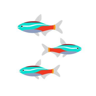 Neon Balık Akvaryum düz.