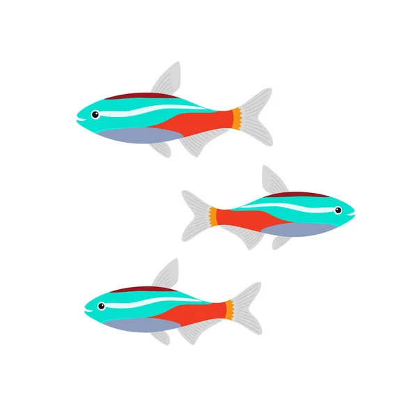 Aquário de peixe néon plano . —  Vetores de Stock