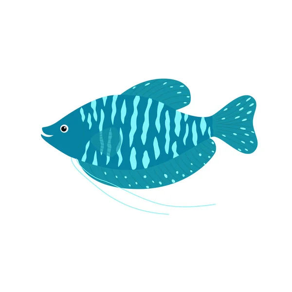 Gourami enano Trichogaster lalius, garabato dibujado a mano, boceto en estilo pop art — Vector de stock