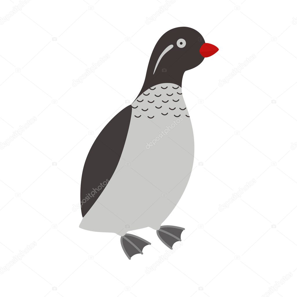 Illustration of a parakeet auklet bird