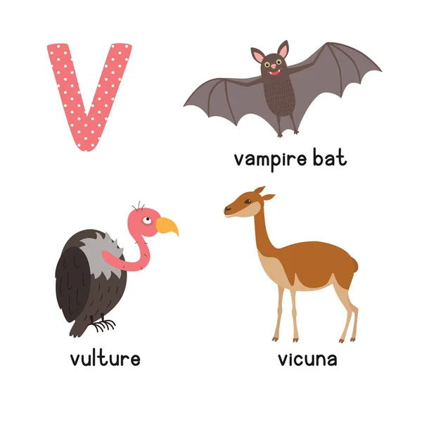 Милый алфавит зоопарка. Письмо V для стервятников, викуньи, летучих мышей-вампиров — стоковый вектор