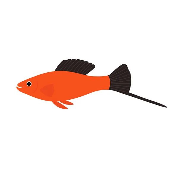 Aquarienfisch Schwertschwanz, Vektorillustration — Stockvektor