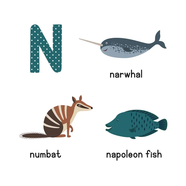 Γραμμάτων της αλφάβητου ν. κινουμένων σχεδίων για τα παιδιά. Εικονογράφηση διάνυσμα ζώων numbat, narwhal, ψάρι του Ναπολέοντα — Διανυσματικό Αρχείο
