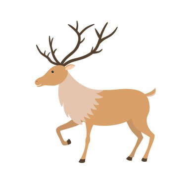 Beyaz üzerine şirin Ren geyiği