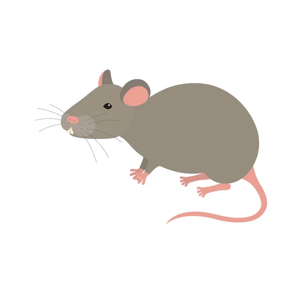 Mouse isolato su bianco — Vettoriale Stock