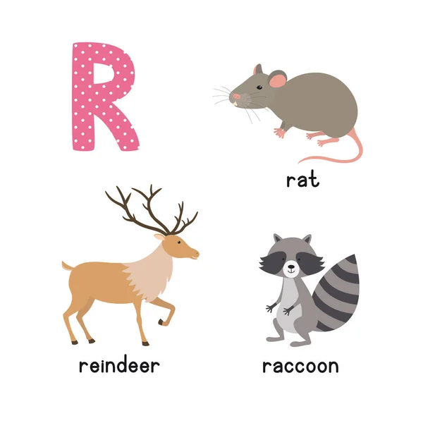 ABC lettera R divertente bambino icone set: procione, renna, ratto — Vettoriale Stock