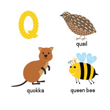 ABC harf Q komik çocuk Icons set: quokka, bıldırcın, Kraliçe Arı