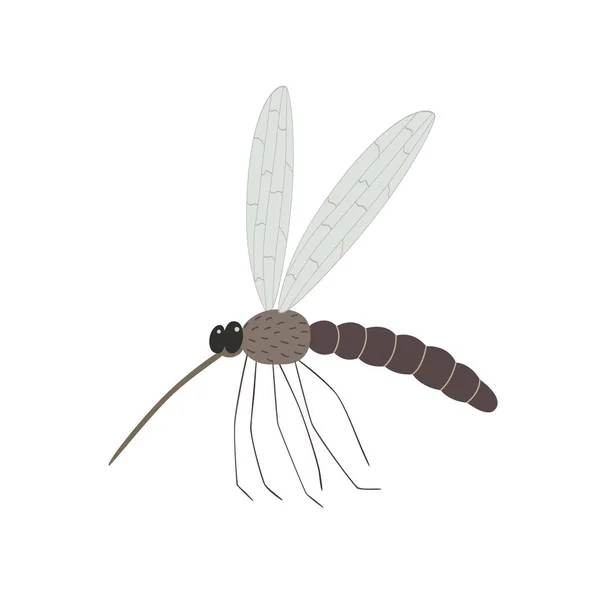 Mosquito isolado no fundo branco — Fotografia de Stock Grátis