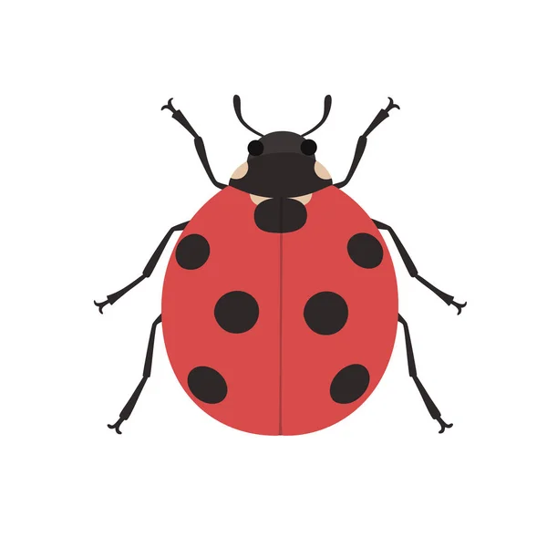 Carino coccinella cartone animato — Vettoriale Stock