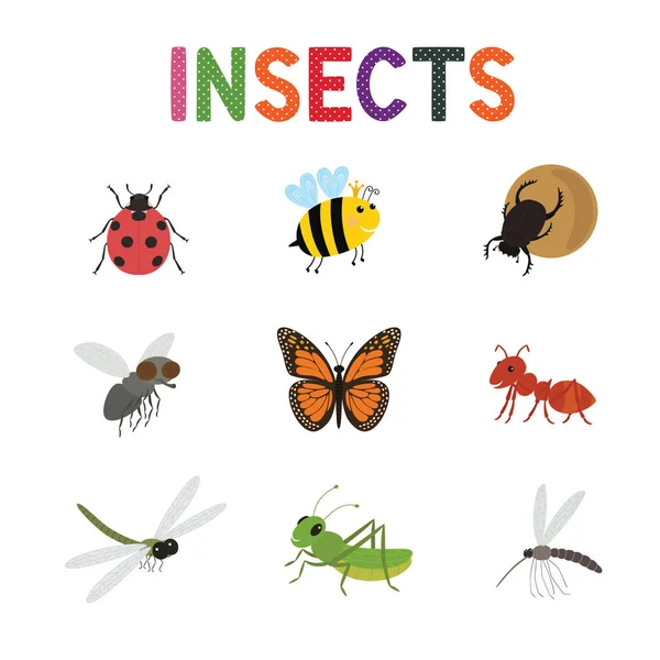 Insetti divertenti, simpatici insetti dei cartoni animati insieme vettoriale. Insetti colorati ape farfalla e coccinella , — Vettoriale Stock