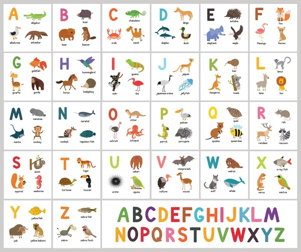 Sevimli vektör Hayvanat Bahçesi alfabe. ABC hayvanlar — Stok Vektör