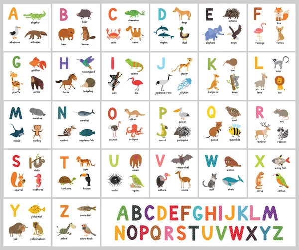 Sevimli vektör Hayvanat Bahçesi alfabe. ABC hayvanlar