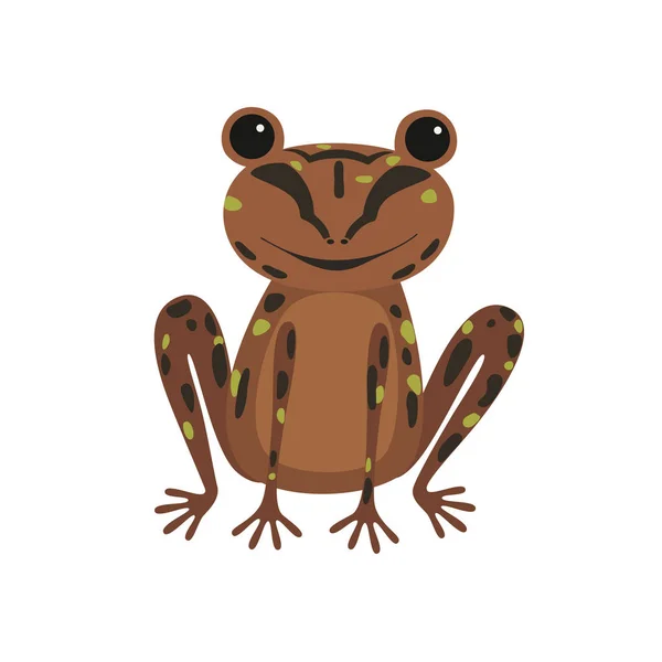 Rana simple con ilustración de piel marrón — Vector de stock