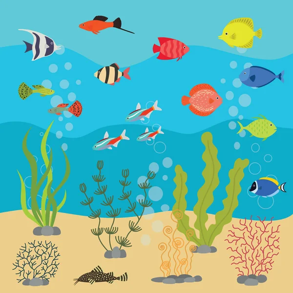 Peixes exóticos tropicais em aquário ou oceano subaquático. Ilustração vetorial de aquário com peixes e algas marinhas coloridas . —  Vetores de Stock