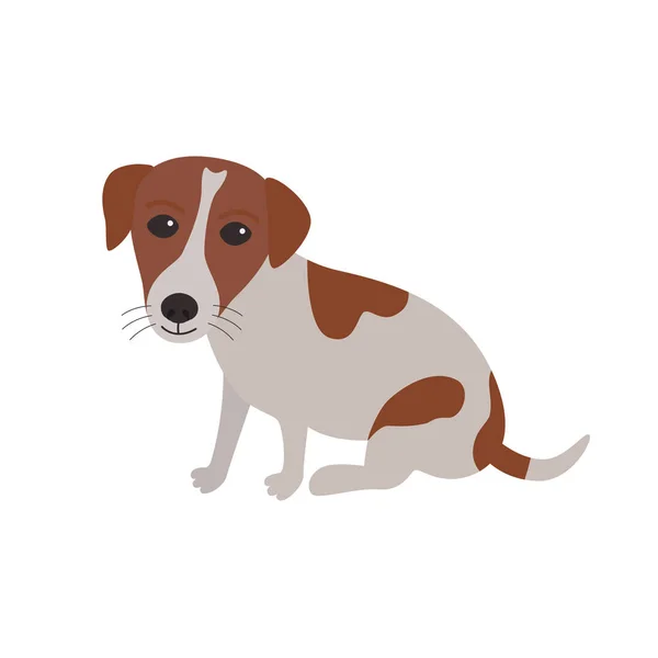 Jack Russell Terrier cane seduto — Vettoriale Stock