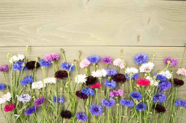 나무 배경에 화려한 cornflowers. — 스톡 사진