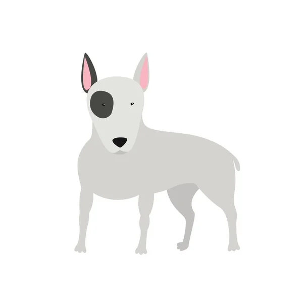 Câine Bull Terrier în picioare — Vector de stoc