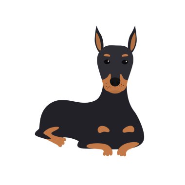 köpek Doberman yatıyor. Vektör çizim