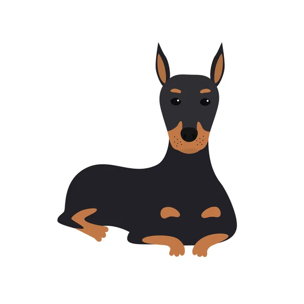 Câinele Doberman minte. Vector Illustration — Vector de stoc