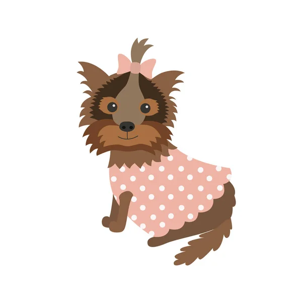 Câine Yorkshire Terrier în haine ședinței — Vector de stoc