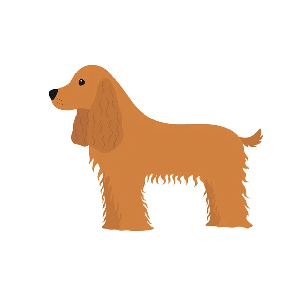 Dog Cocker Spaniel — Vector de stoc