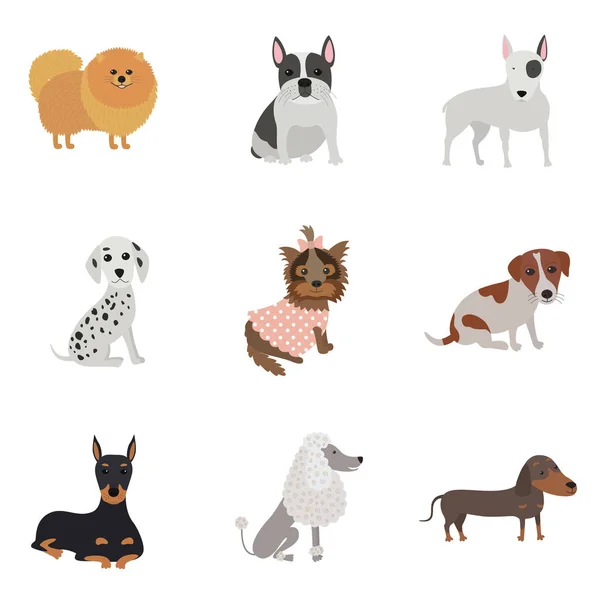 Set of dogs of different breeds — Stock Vector