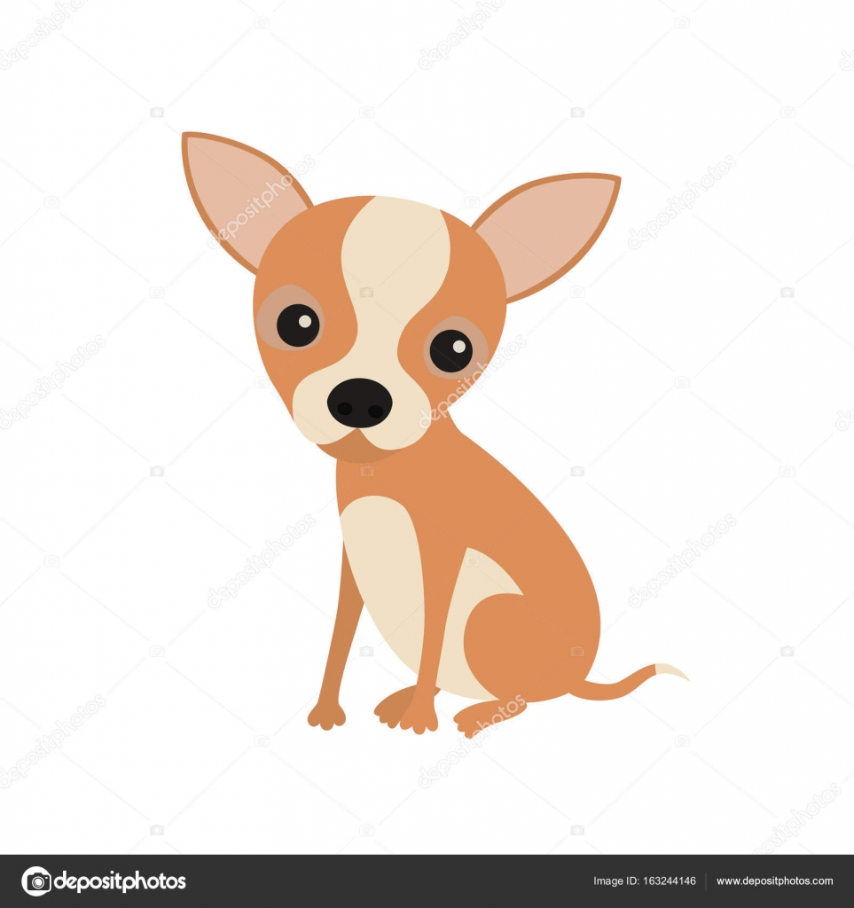Little cute sitting chihuahua puppy. Little brown pocket dog ...