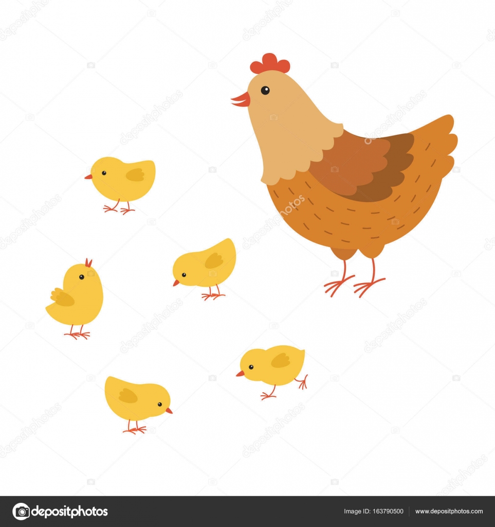 frango e filhotes desenho animado, ilustração do mãe galinha e