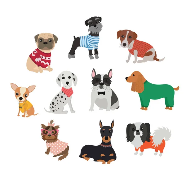 Set de diferentes razas de perros en ropa y accesorios — Vector de stock