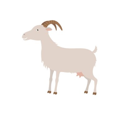 Çizgi film beyaz keçi. Keçi için G olduğunu.