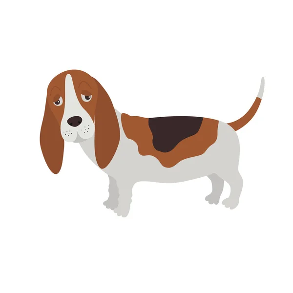 Cão Basset cão — Vetor de Stock