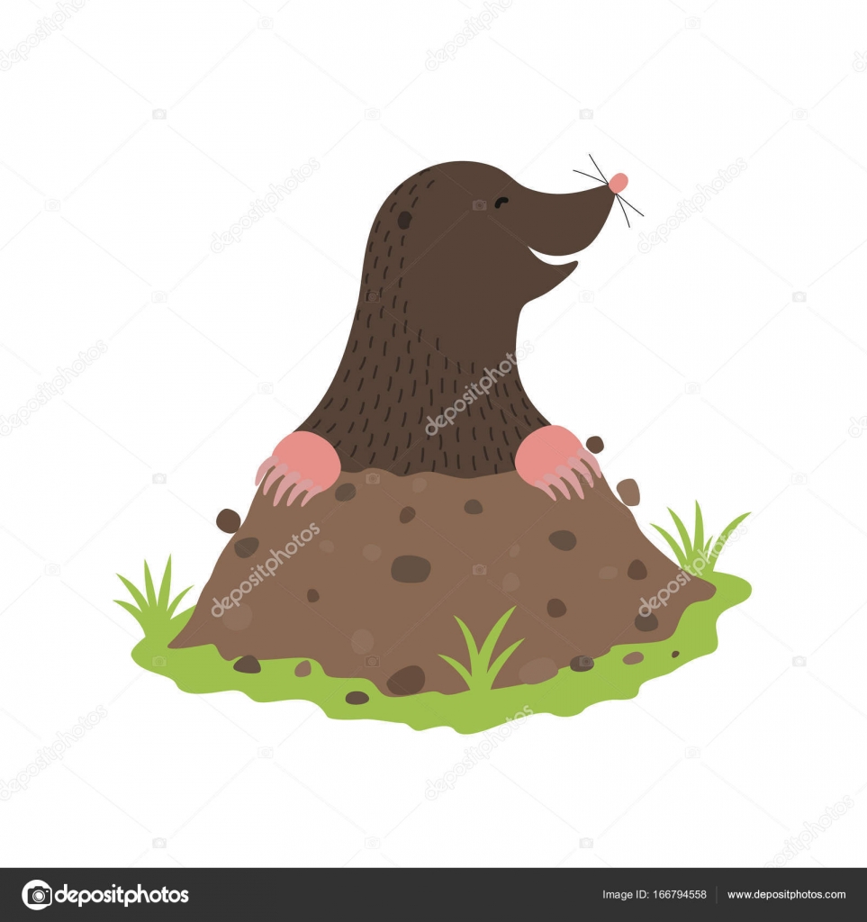 鼹鼠挖出的泥土动物卡通人物图库矢量图©nadja_77.tut.by 166794558, image size:963x1024