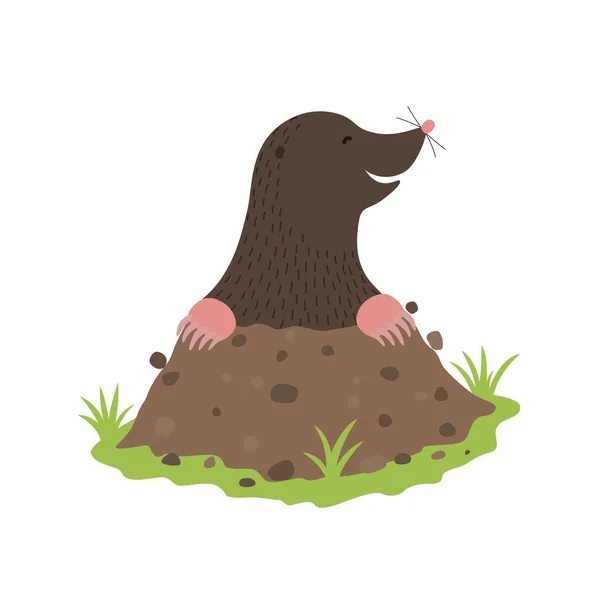 Mole de excavación sobre el personaje de dibujos animados animal de tierra — Vector de stock