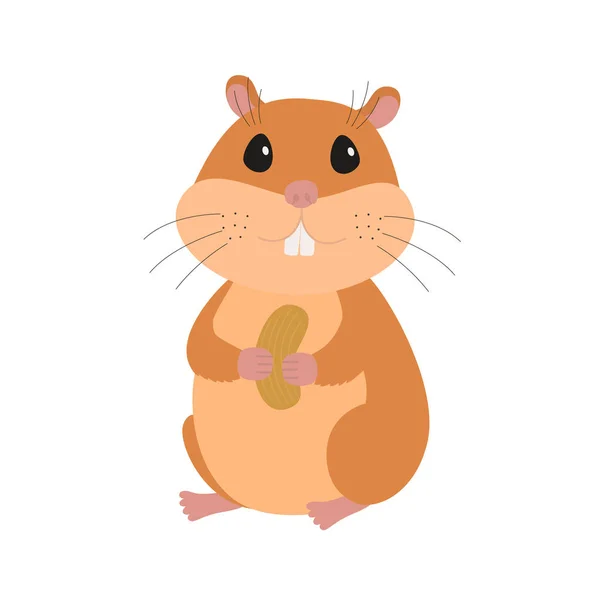 Hamster mignon avec une noix — Image vectorielle