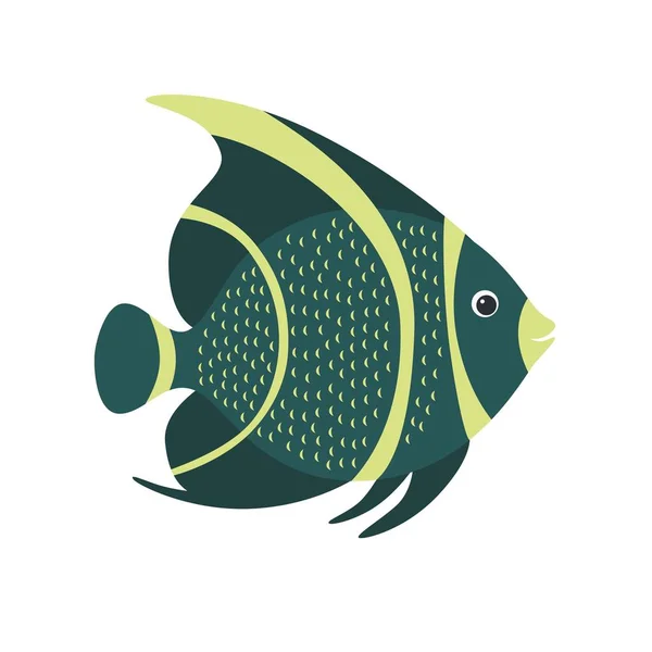 フランスのエンゼルフィッシュ ヤッコ束ねた 海産魚 無料のストックベクター C Nadja 77 Tut By