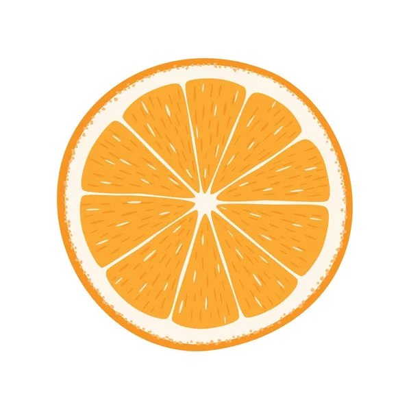 Orange segment — Stock Vector © 2578728