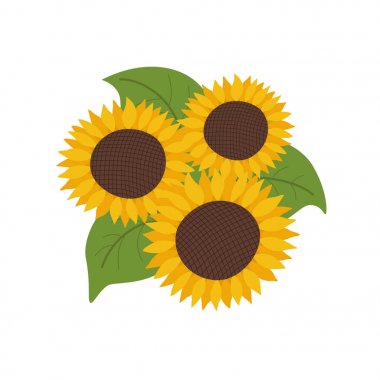 Yeşil yaprakları ile ayçiçeği illüstrasyon izole beyaz arka plan üzerinde düz stil vektör