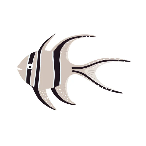 Peixe marinho. Banggai cardinalfish ilustração. Ilustração vetorial . — Vetor de Stock