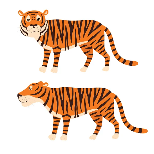 Tiger stå, vektor illustration isolerad på vit bakgrund. — Stock vektor