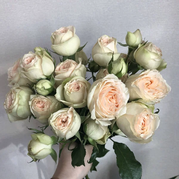 Cream orange and peach peony roses in a bunch